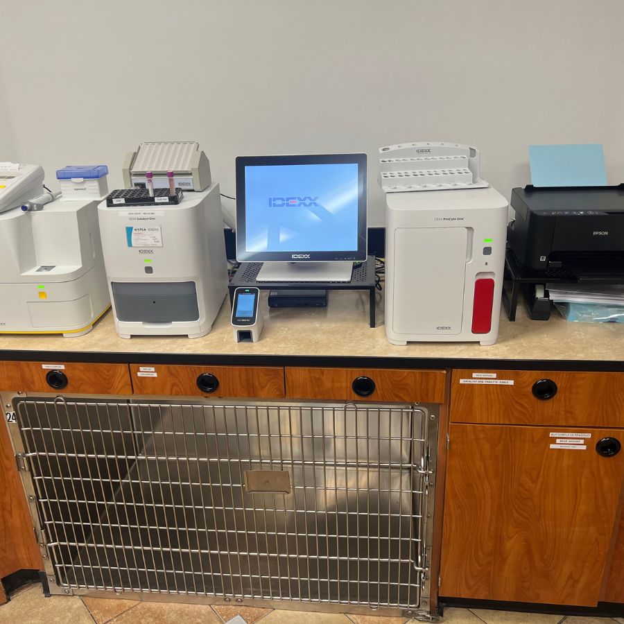 Lab equipment