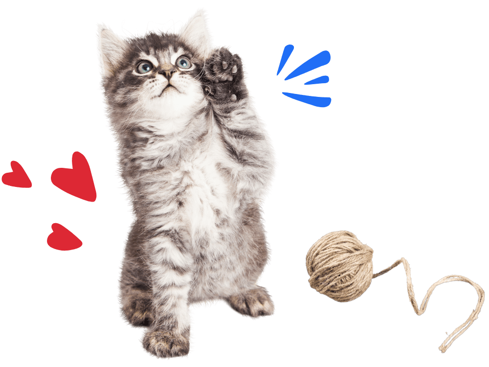 tabby kitten pouncing while surrounded by ball of string and playful doodle elements